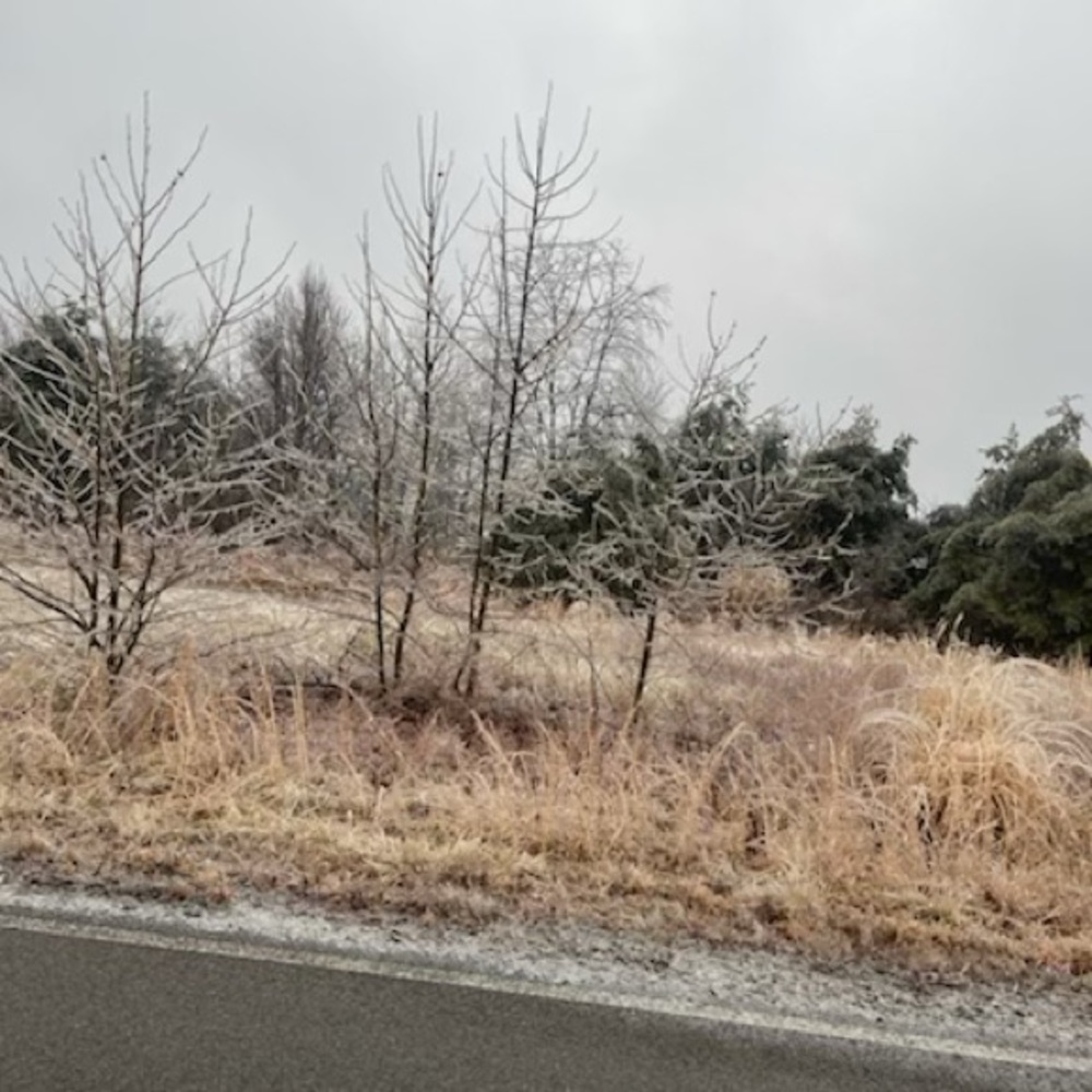 Meet your Posher, Aubrey